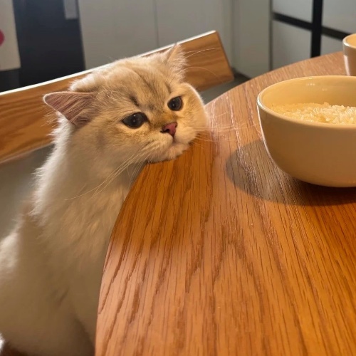 الصورة الشخصية لـ Duru