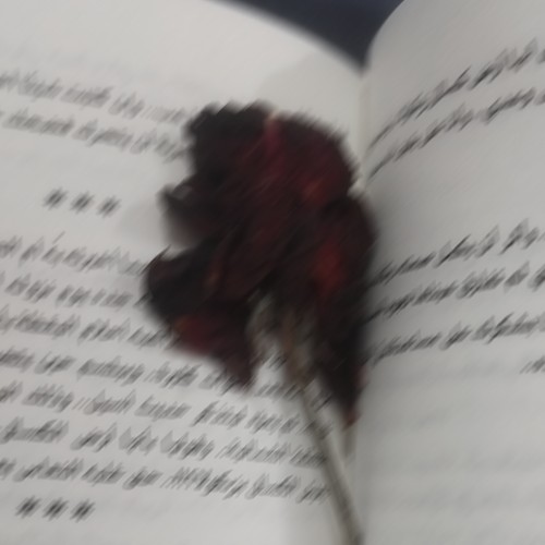 الصورة الشخصية لـ Habiba Abdelazez